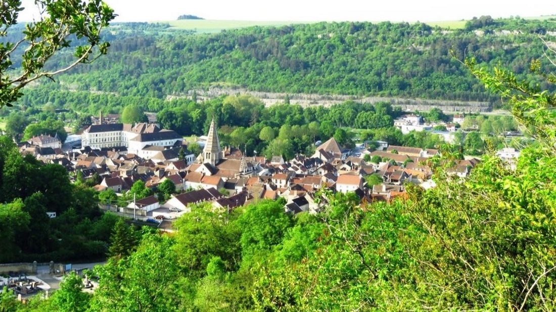 Plombières-lès-Dijon : la rivière du Neuvon polluée ?